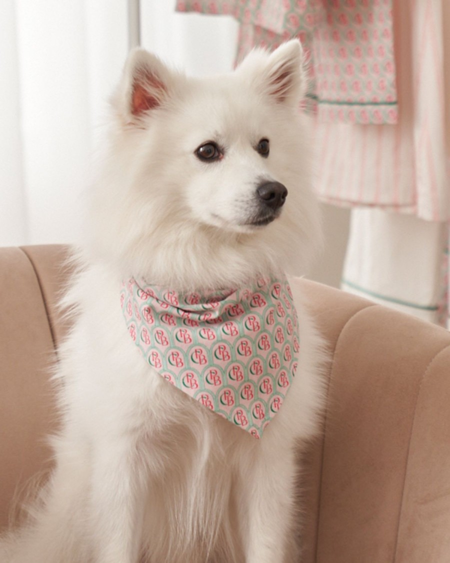 Maison Petite Plume | Bandana Exclusif Pour Chien A Imprime Colony Hotel X Petite Plume