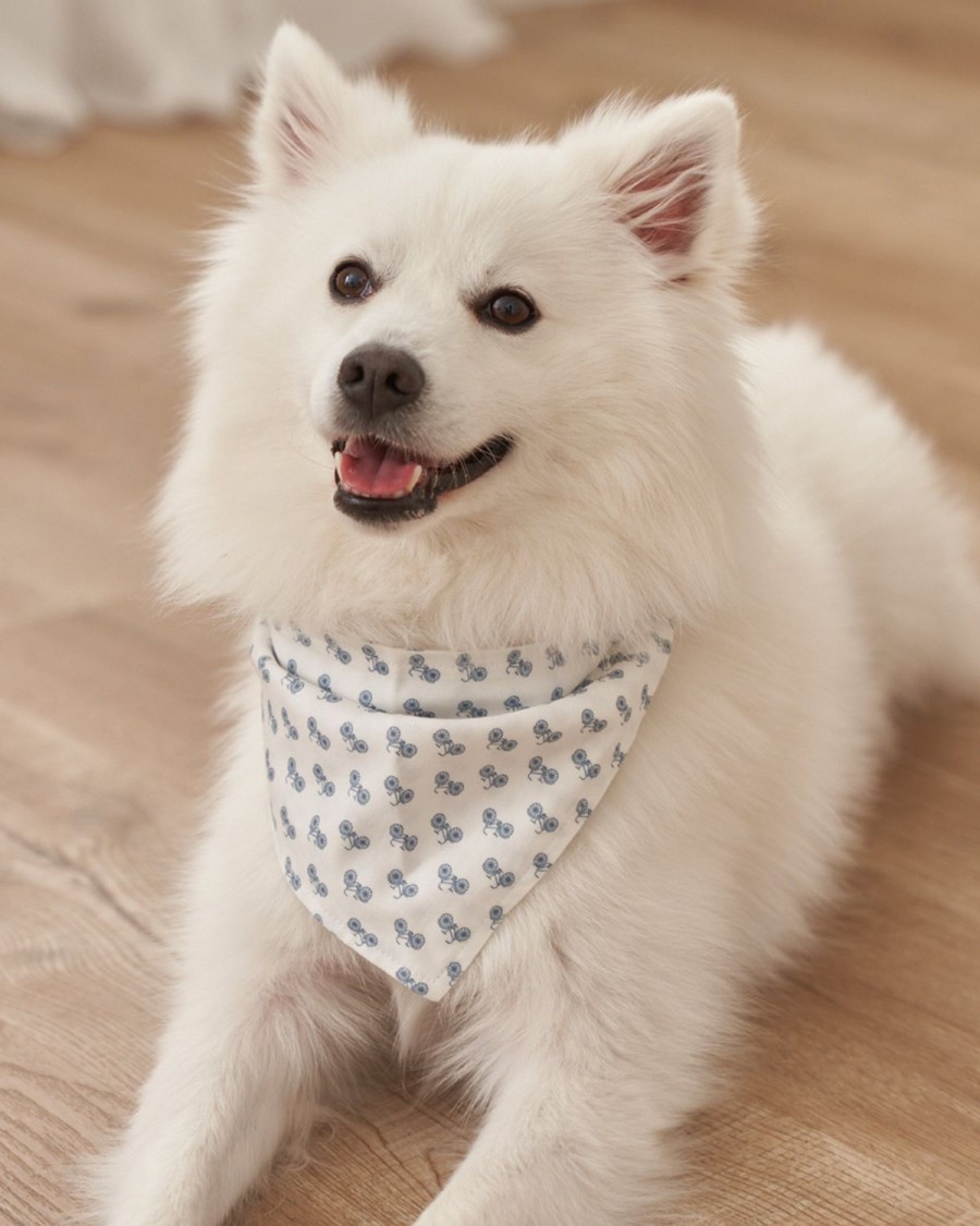 Maison Petite Plume | Bandana Pour Chien En Seersucker Bleu Francais