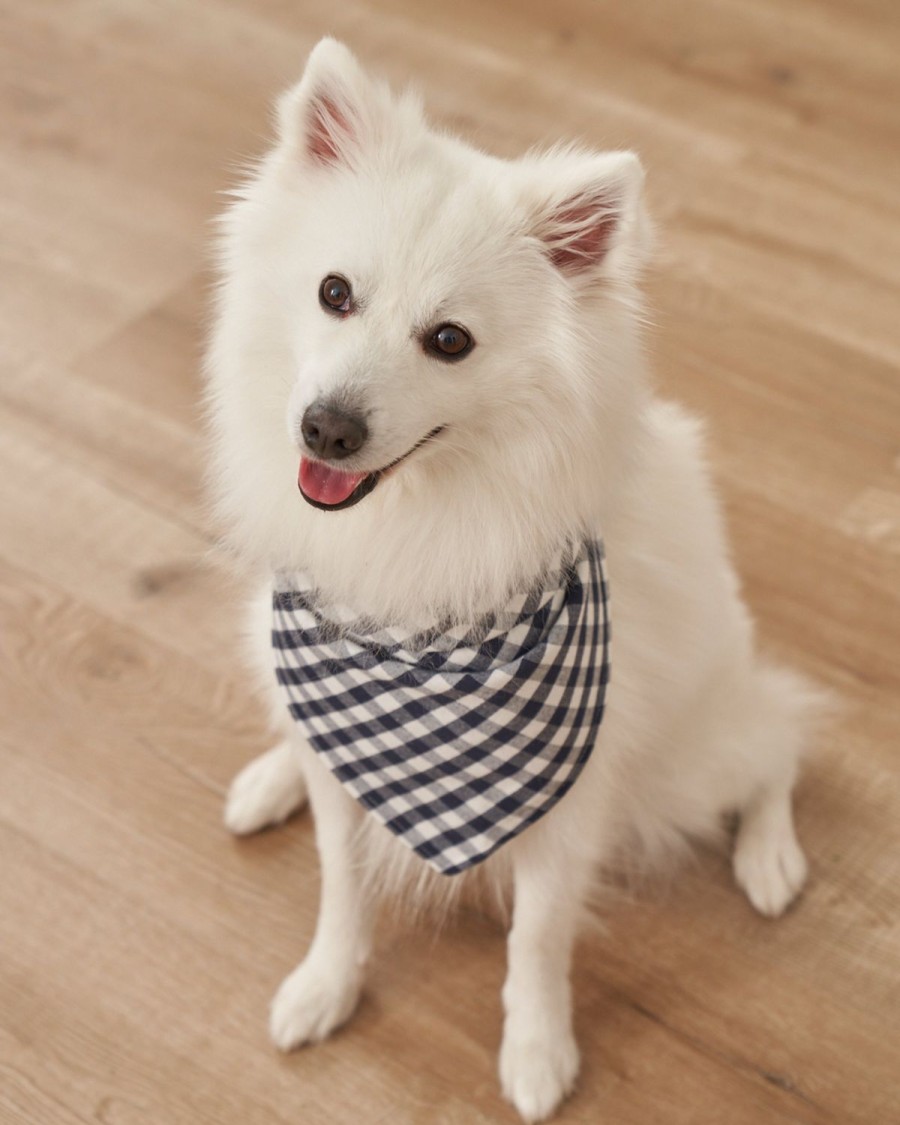 Maison Petite Plume | Bandana Pour Chien A La Mer