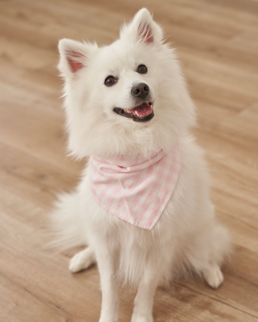 Maison Petite Plume | Bandana En Serge Pour Chien En Vichy Rose