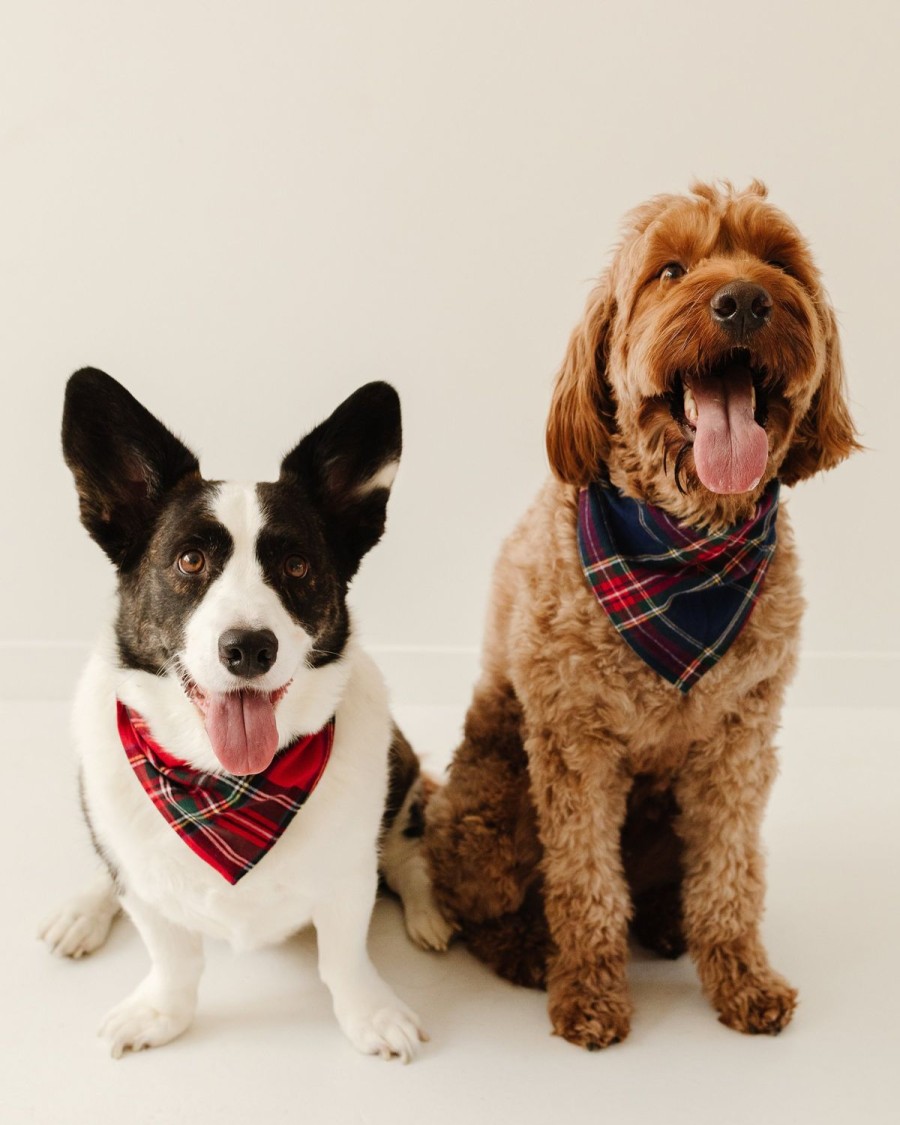 Maison Petite Plume | Bandana Pour Chien En Tartan Imperial