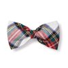 Maison Petite Plume | Noeud Papillon Pour Chien En Coton Brosse En Tartan Balmoral