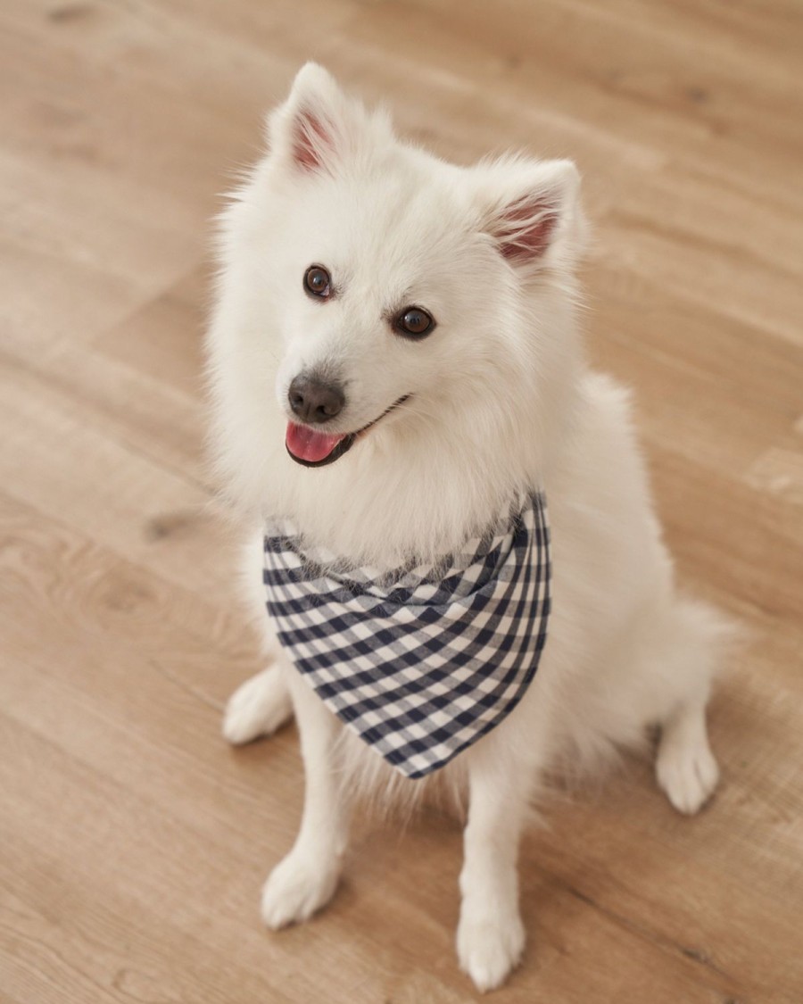 Maison Petite Plume | Bandana Pour Chien En Vichy Bleu Marine