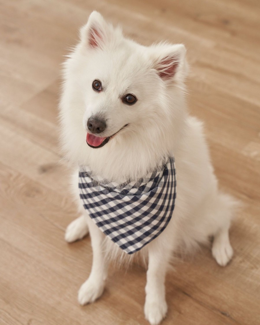 Maison Petite Plume | Bandana En Serge Pour Chien En Bateau